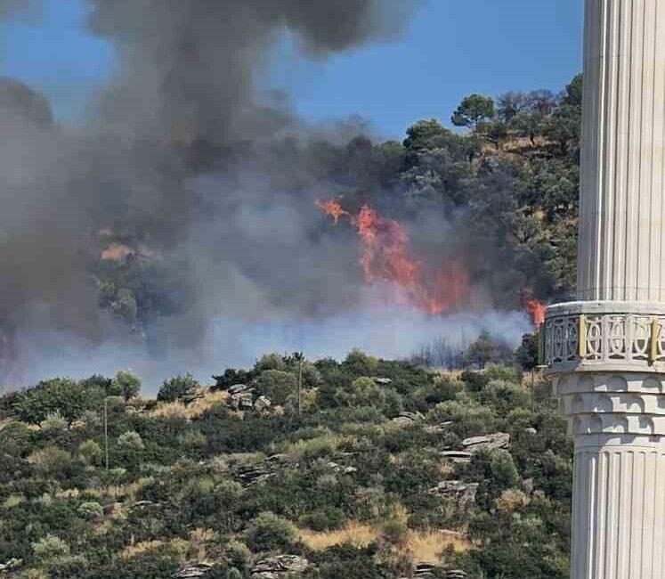 Kocaeli’nin Gebze ilçesinde ormanlık alanda yangın çıktı. Yangın, Mollafenari mahallesinde