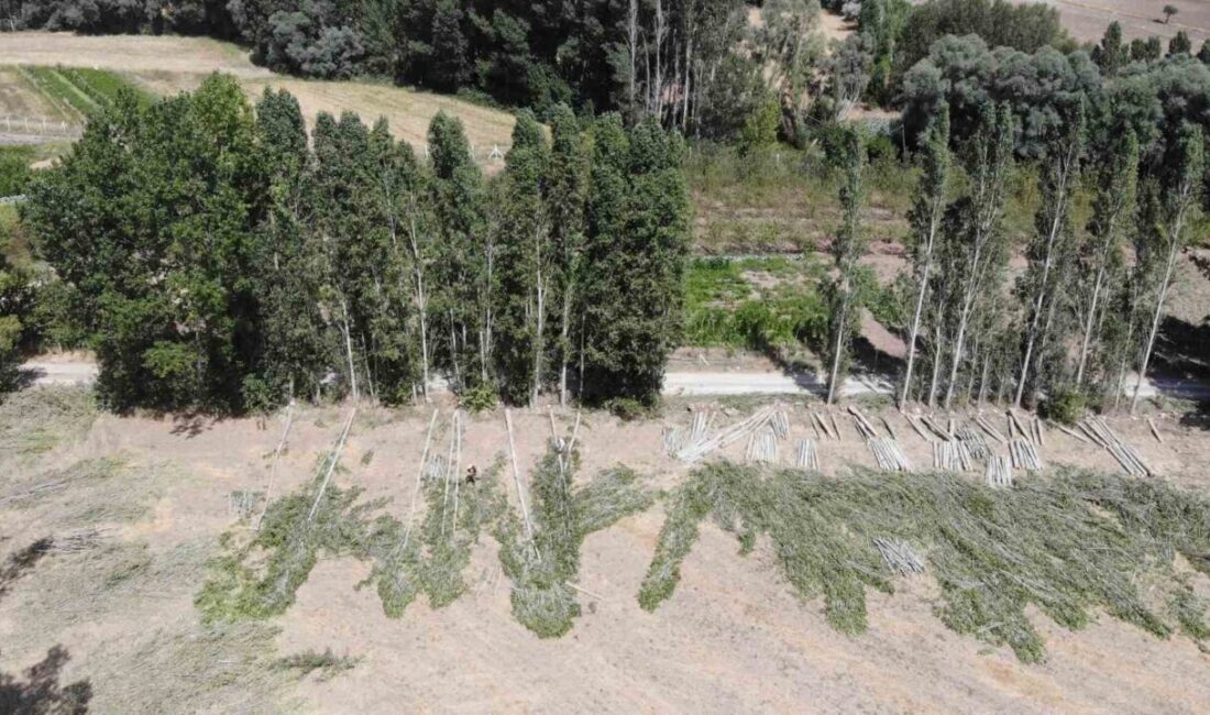 Boğazcumafakılı köyü, Yozgat’ın Sorgun ilçesine bağlı bir yerleşim yeri olarak,