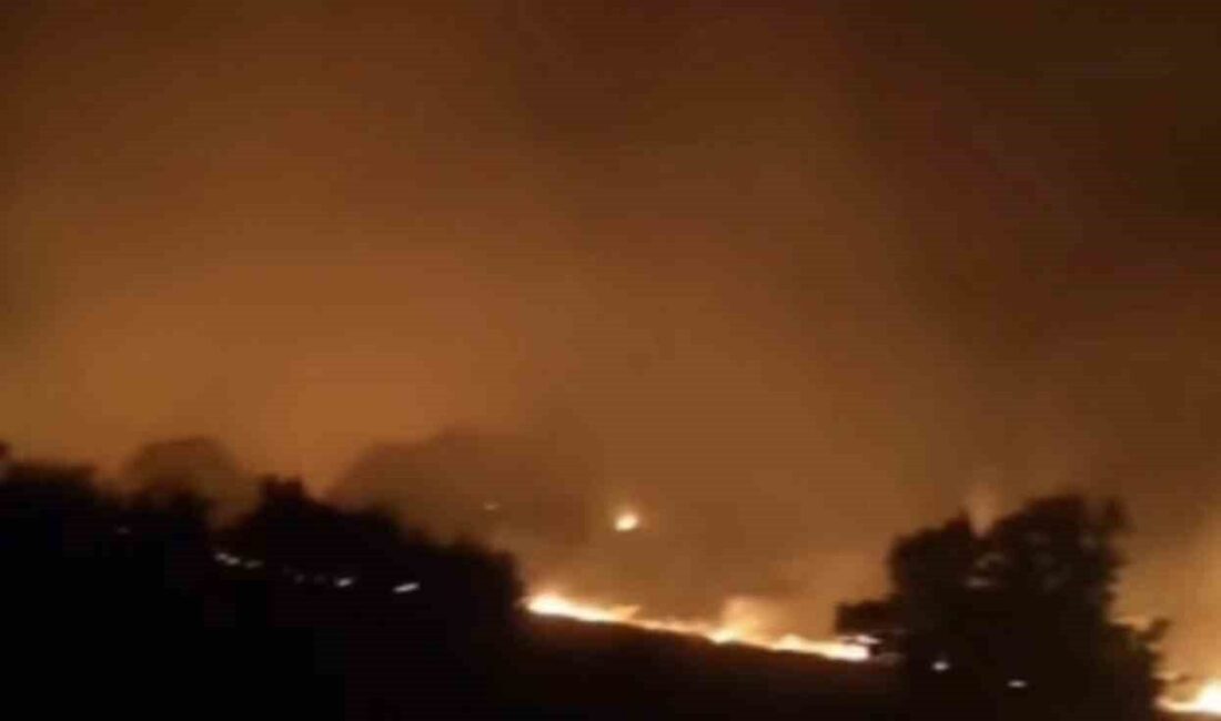Adıyaman’ın Gerger ilçesindeki ormanlık alanda çıkan yangına ekiplerin müdahalesi sürüyor.