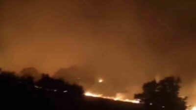 Adıyaman’ın Gerger ilçesindeki ormanlık alanda çıkan yangına ekiplerin müdahalesi sürüyor.