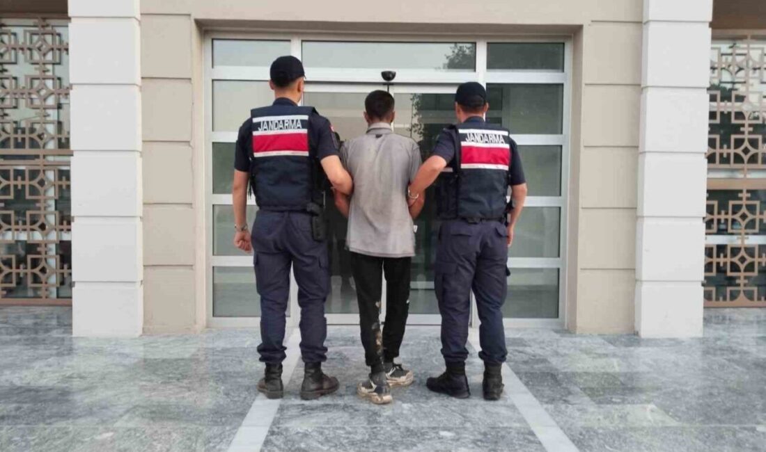 Aydın’ın Germencik ilçesinde bir incir bahçesinden hırsızlık yapan şüpheli suçüstü