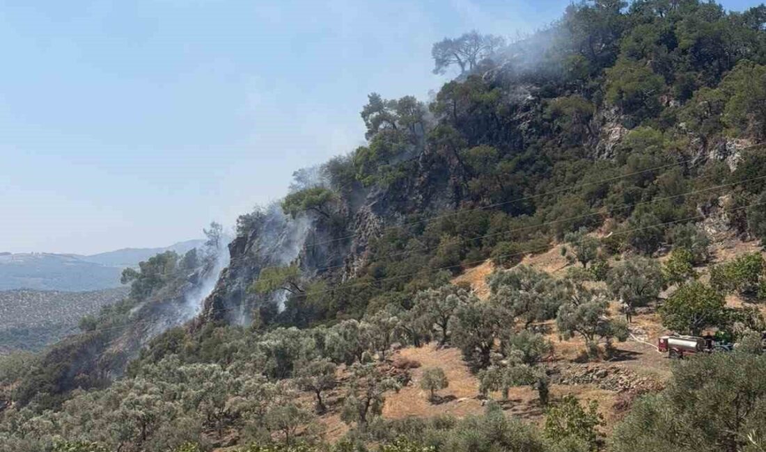 Germencik ilçesinde ormanlık alanda başlayan yangın, ekiplerin hızlı müdahalesi sayesinde