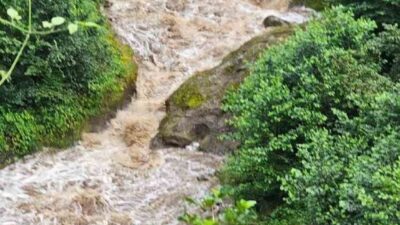 Giresun’un Görele ilçesine bağlı Hamzalı köyünde şiddetli yağışların yol açtığı