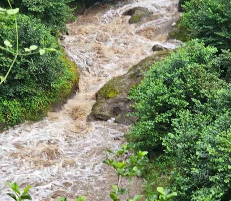 Giresun’un Görele ilçesine bağlı Hamzalı köyünde şiddetli yağışların yol açtığı