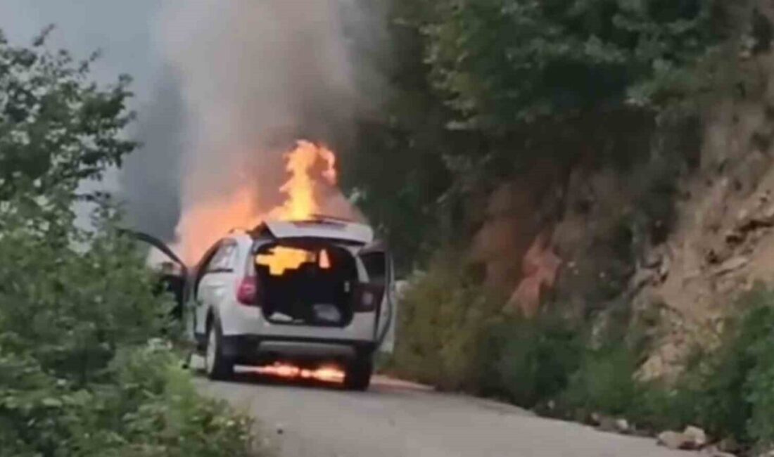Giresun’un Yağlıdere ilçesine bağlı Üçtepe Beldesi Balkan Küme Evleri yolunda
