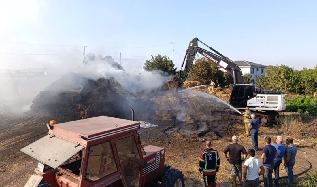 Gönen, Balıkesir ilçesinde meydana gelen yangın, yol kenarındaki otluk alandan