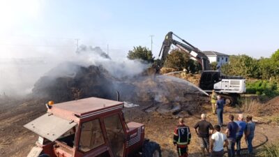 Gönen, Balıkesir ilçesinde meydana gelen yangın, yol kenarındaki otluk alandan