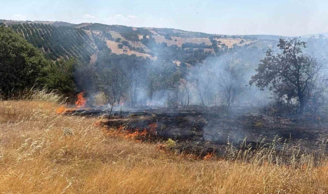 Manisa’nın Gördes ilçesinde tarım arazisinde başlayan ve ormanlık alana yayılan