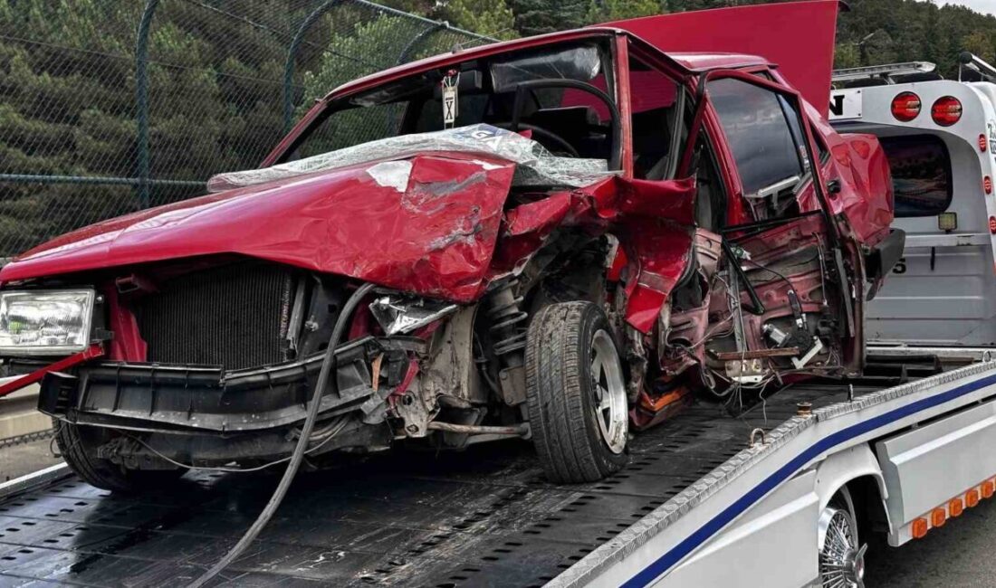 Sapanca ilçesinde meydana gelen trafik kazasında bir hafif ticari araç