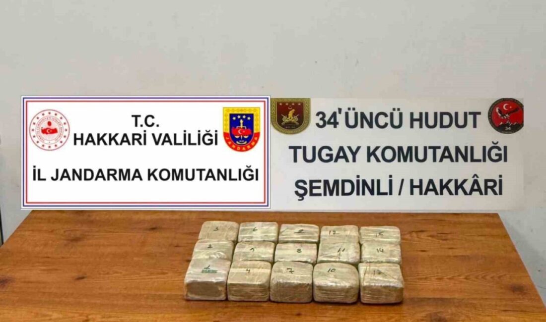 Hakkari’nin Şemdinli ilçesinde güvenlik güçleri tarafından sınır hattında yapılan operasyon