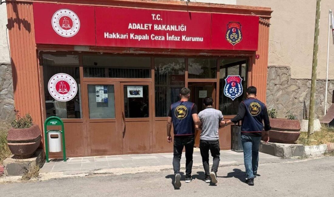 Hakkari ilinin jandarma birimleri, aranan kişilerin yakalanması için başarılı operasyonlarını