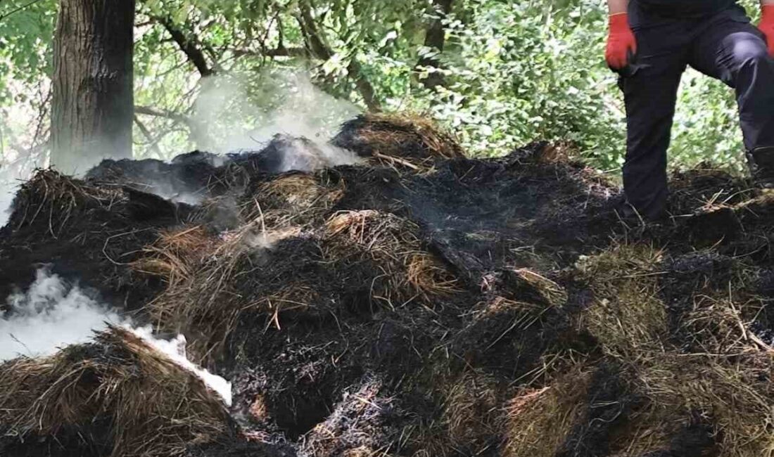 Hakkâri’nin Durankaya beldesinde gerçekleşen yangında, Süleyman Bayram’a ait yaklaşık 400