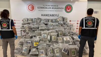 Edirne Hamzabeyli Gümrük Kapısı’nda Türkiye’ye giriş yapan bir tırda yapılan