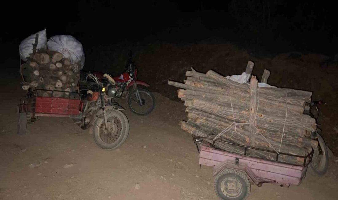 Hassa, Hatay ilçesinde ormanda yasa dışı ağaç kesimi yapan ve