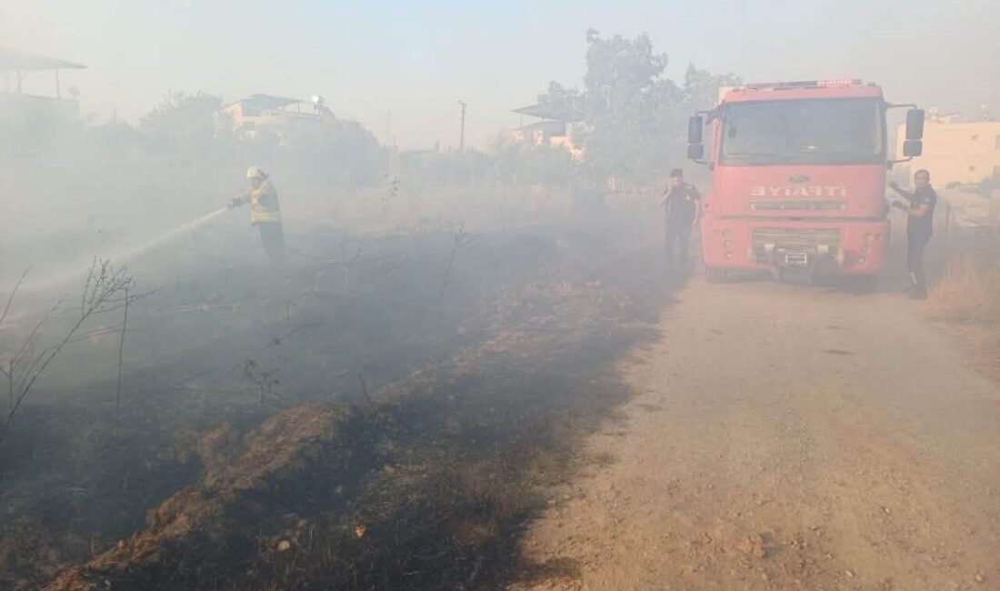 Hassa ilçesindeki bir zeytinlik alanda çıkan yangın, itfaiye ekiplerinin hızlı
