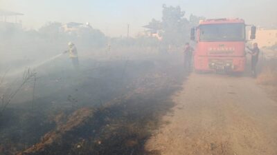 Hassa ilçesindeki bir zeytinlik alanda çıkan yangın, itfaiye ekiplerinin hızlı