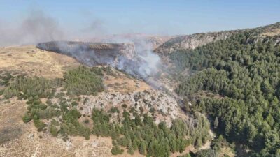 Hatay’ın Antakya ilçesine bağlı Narlıca Mahallesi’nde, ormanlık ve zeytinlik alan