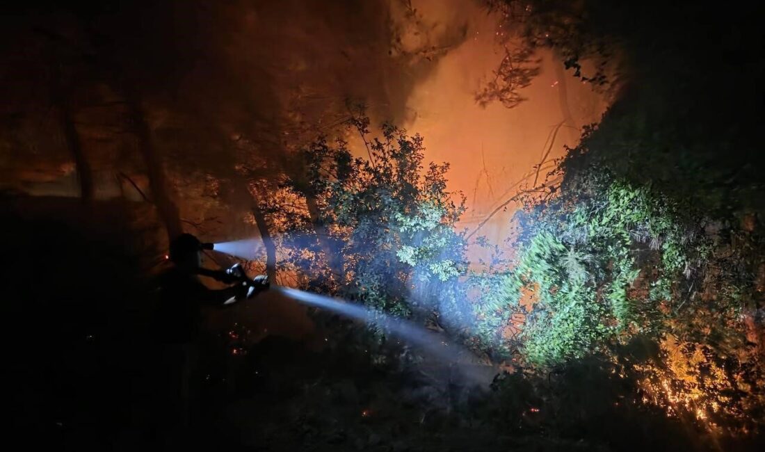 Hatay’da Defne ilçesi Toygarlı Mahallesi’nde ormanlık alanda meydana gelen yangın,