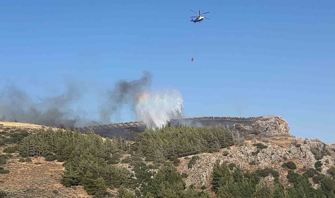 Hatay’da, Narlıca Mahallesi’nde yerleşim alanına yakın bir ormanlık alanda çıkan