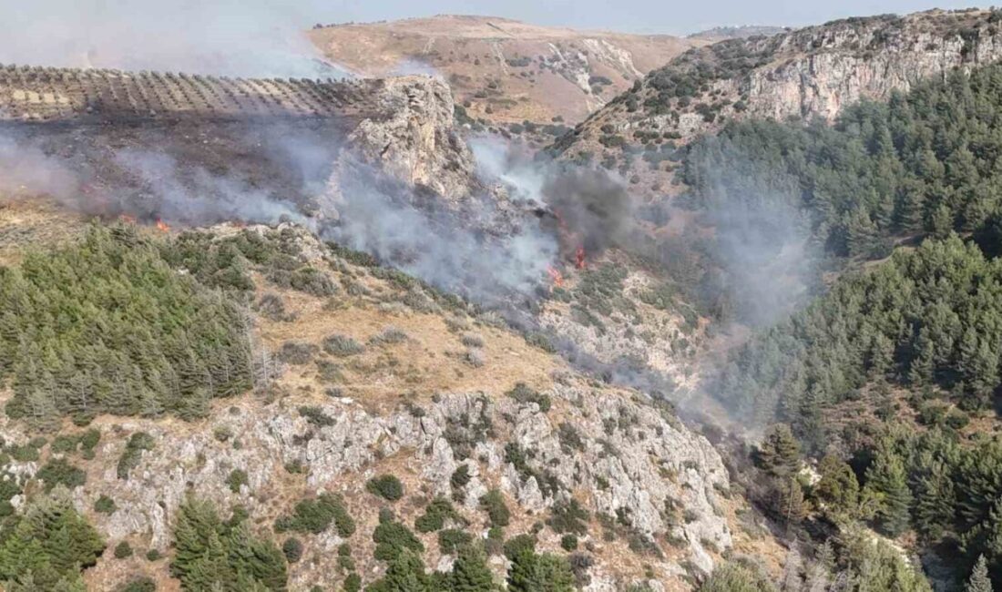 Hatay ilinde, Narlıca Mahallesi’nde çıkan yangın, ekiplerin havadan ve karadan