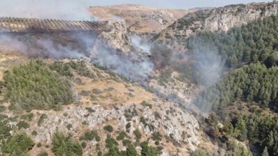 Hatay ilinde, Narlıca Mahallesi’nde çıkan yangın, ekiplerin havadan ve karadan