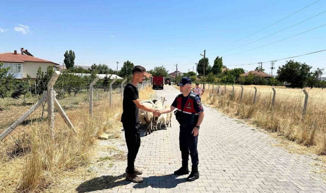 Yozgat’ta bir çiftçiye yardım eli Jandarma’dan geldi. Kent merkezinde küçükbaş