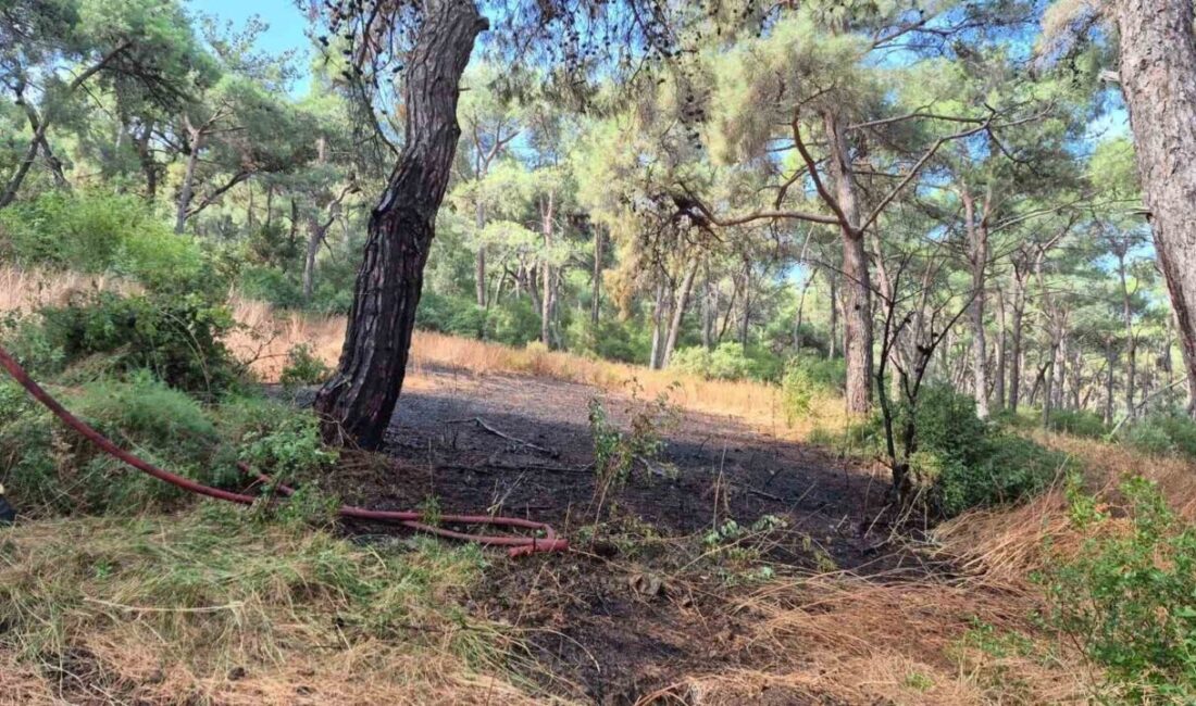 Heybeliada’da sabah saatlerinde meydana gelen ormanlık alandaki yangın, itfaiye ekiplerinin