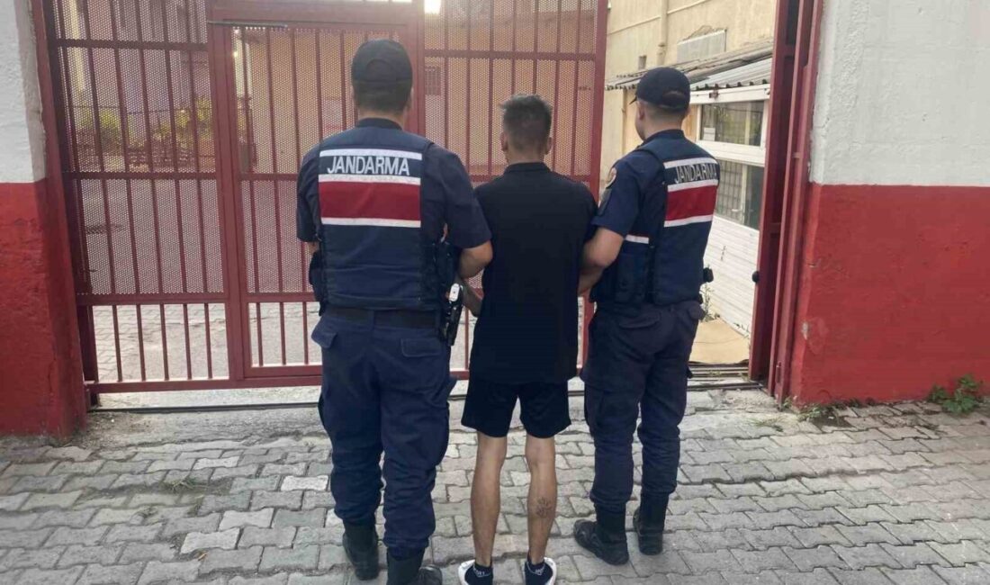 Aydın’ın İncirliova ilçesinde, hırsızlık suçundan aranan bir şahıs, jandarma ekiplerinin