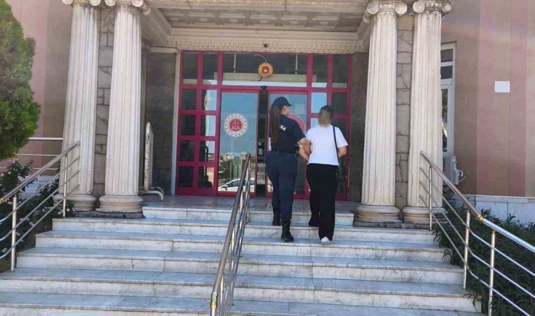 Didim ilçesinde aranan bir şahıs, Aydın İl Jandarma Komutanlığı Didim
