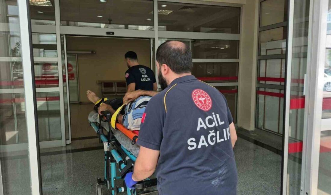 Adıyaman’da meydana gelen bir kavga sonucunda 2 kişi yaralandı. Olay,