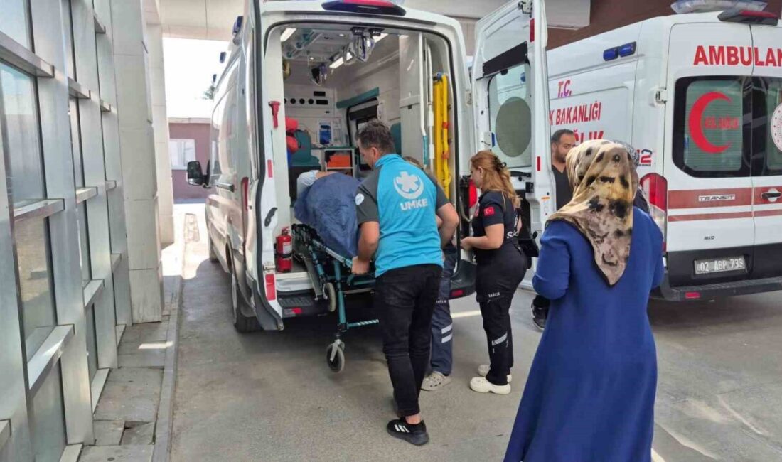 Adıyaman şehrinde, incir toplamak için çıktığı ağaçtan düşen bir kişi