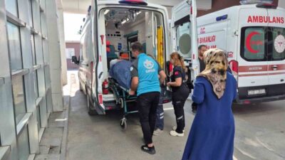 Adıyaman şehrinde, incir toplamak için çıktığı ağaçtan düşen bir kişi