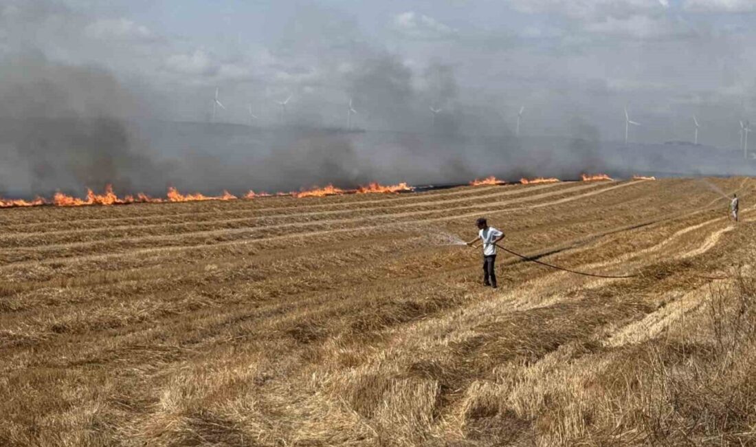İstanbul Valiliği, Silivri’de tarla yangınının kontrol altına alındığını duyurduğu bir