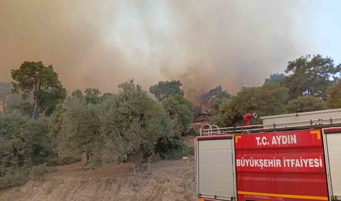 Aydın’ın Çine ilçesinde çıkan orman yangınıyla ilgili ekiplerin karadan ve