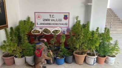 İzmir İl Jandarma Komutanlığı ekiplerince, terör ve organize suç örgütlerinin