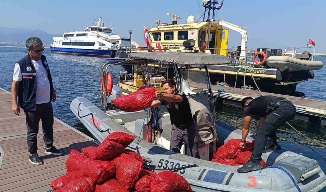 Balçova ilçesinde yapılan denetimde, yasa dışı kara midye avcılığı yaptığı