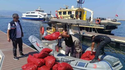 Balçova ilçesinde yapılan denetimde, yasa dışı kara midye avcılığı yaptığı