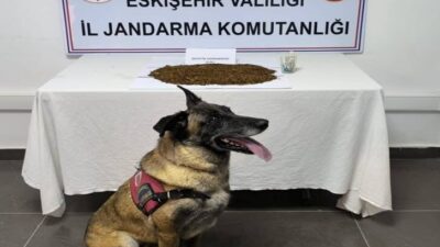 Eskişehir’de gerçekleştirilen operasyonda 361 gram bonzai ele geçirildi ve gözaltına