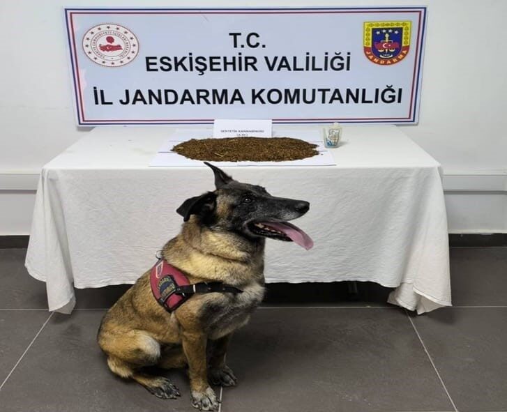 Eskişehir’de gerçekleştirilen operasyonda 361 gram bonzai ele geçirildi ve gözaltına