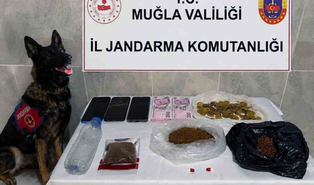 Muğla İl Jandarma Komutanlığı Kaçakçılık ve Organize Suçlarla Mücadele (KOM)