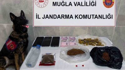 Muğla İl Jandarma Komutanlığı Kaçakçılık ve Organize Suçlarla Mücadele (KOM)