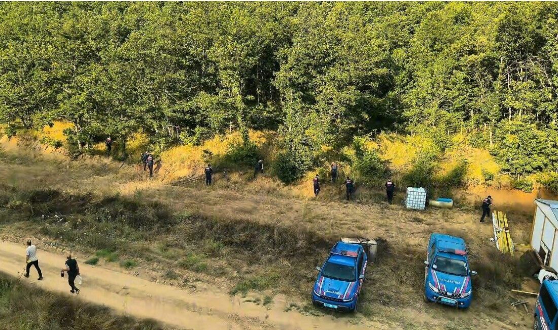 Bilecik ilinde jandarma ekipleri tarafından düzenlenen operasyonda, kenevir ve uyuşturucu