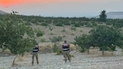 Birecik ilçesinde fıstık sezonunun açılmasıyla birlikte jandarma ekipleri, gece gündüz
