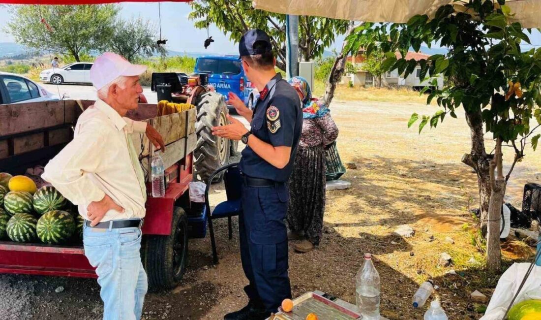 Söğüt İlçe Jandarma Komutanlığı ekipleri, Bilecik’in Söğüt ilçesine bağlı Küre
