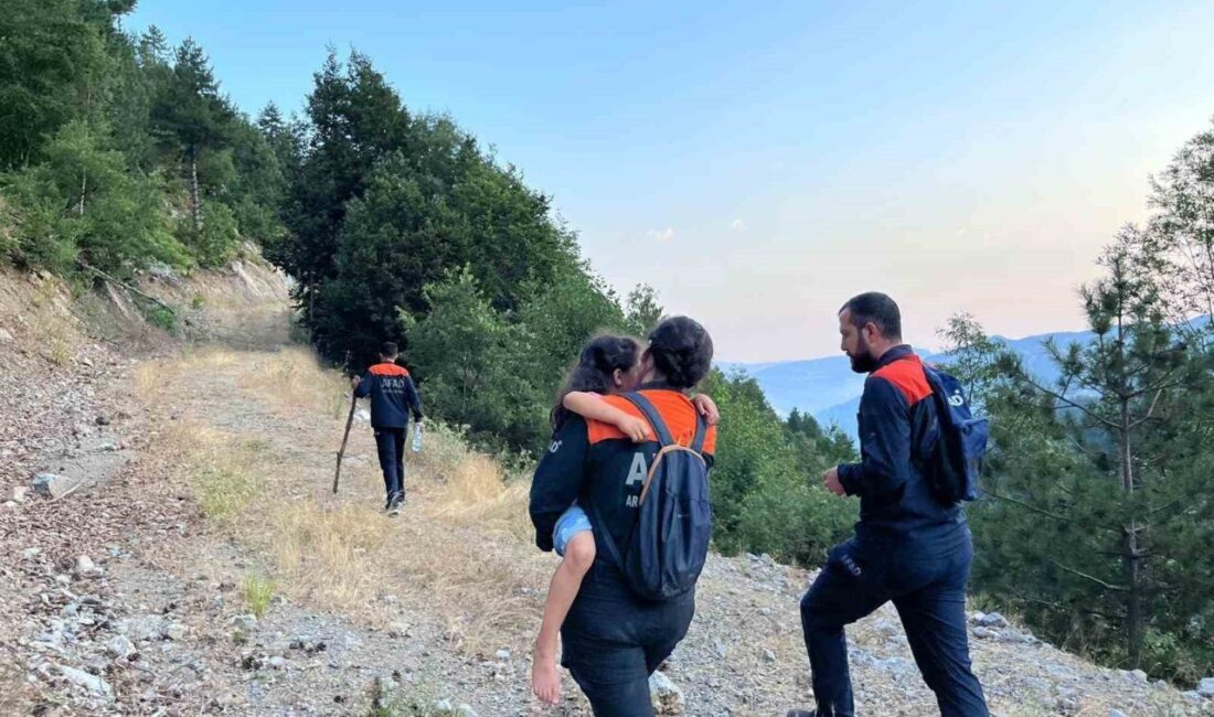 Kahramanmaraş’ta, bir baba ve kızı araçlarıyla seyir halindeyken kaza yaptı.