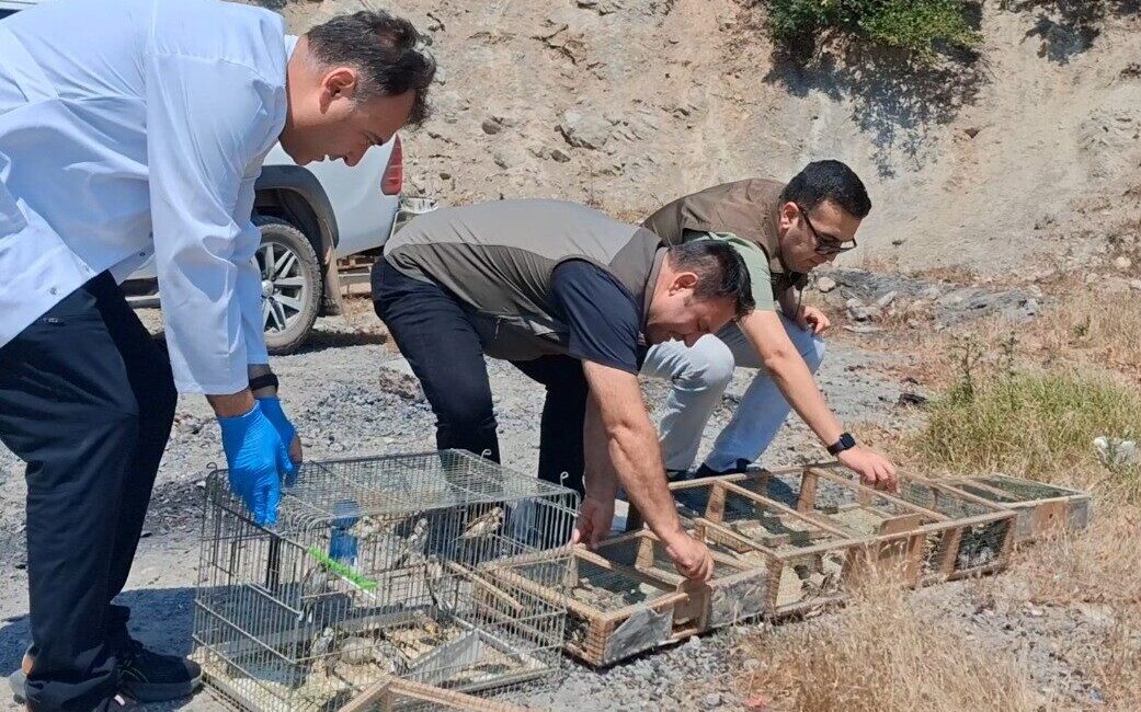 Kahramanmaraş’ta, Doğa Koruma ve Milli Parklar (DKMP) 15. Bölge Müdürlüğü