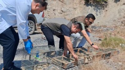 Kahramanmaraş’ta, Doğa Koruma ve Milli Parklar (DKMP) 15. Bölge Müdürlüğü