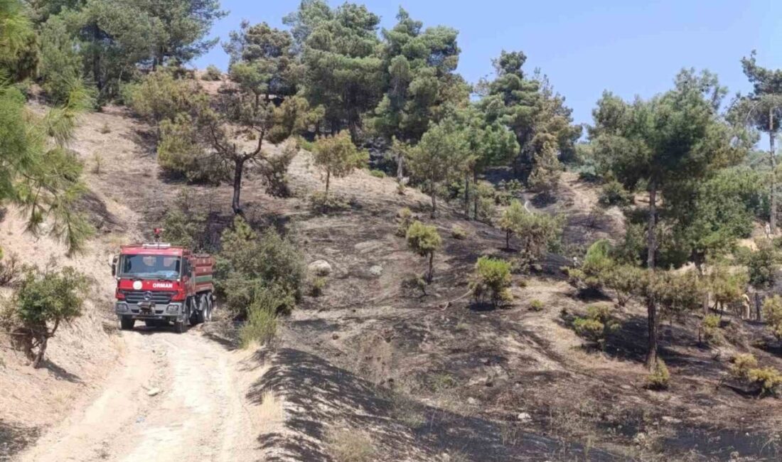 Kılavuzlu Mahallesi’nde çıkan orman yangını, Kahramanmaraş’ın Onikişubat ilçesinde kontrol altına