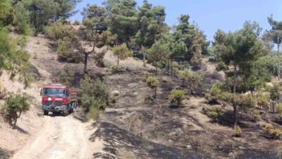 Kılavuzlu Mahallesi’nde çıkan orman yangını, Kahramanmaraş’ın Onikişubat ilçesinde kontrol altına