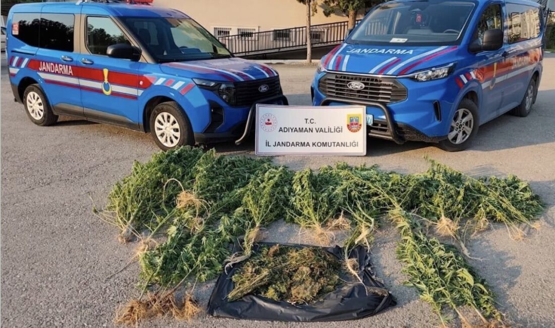 Adıyaman’ın Kahta ilçesinde jandarma ekipleri tarafından düzenlenen bir operasyonda 1,5